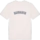 Blomslund college t-shirt