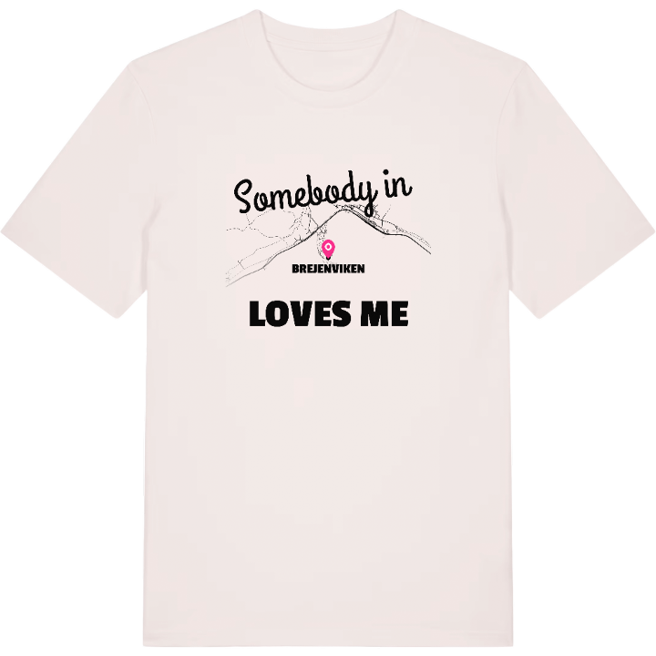 Någon i Brejenviken älskar mig t-shirt – t-shirt från PinShirt