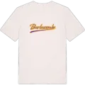 Burlescombe baseball t-shirt