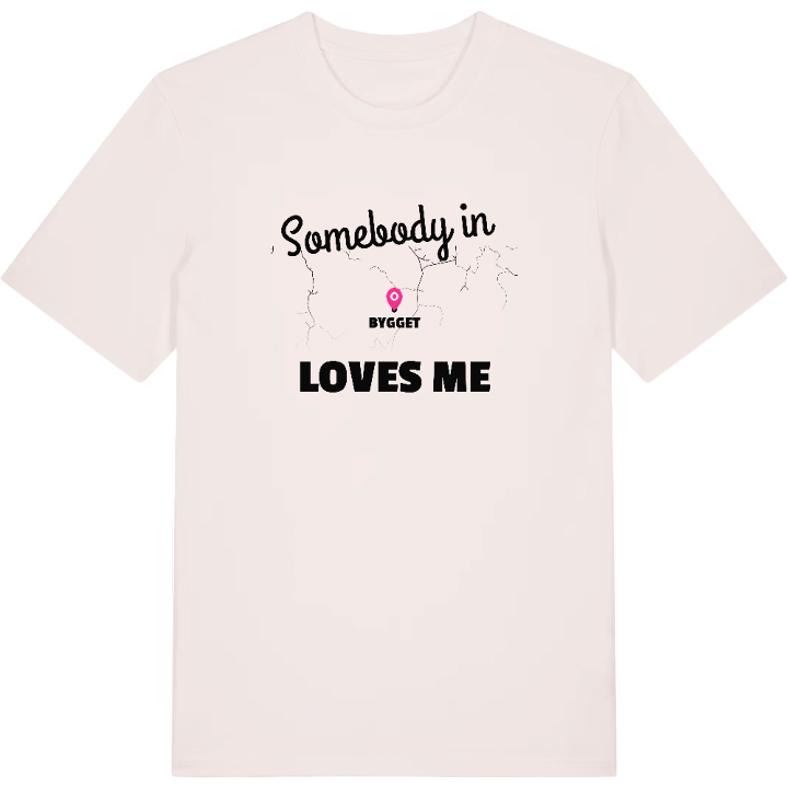 Någon i Bygget älskar mig t-shirt – t-shirt från PinShirt