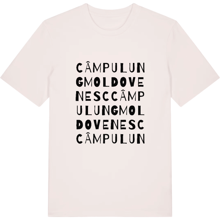 Câmpulung Moldovenesc ordlek t-shirt – t-shirt från PinShirt