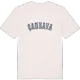 Çankaya college t-shirt