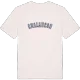 Chalancon college t-shirt