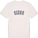Cizur college t-shirt