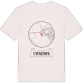 Cyfarthfa t-shirt