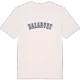 Dalarvet college t-shirt
