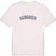 Dalmsholte college t-shirt