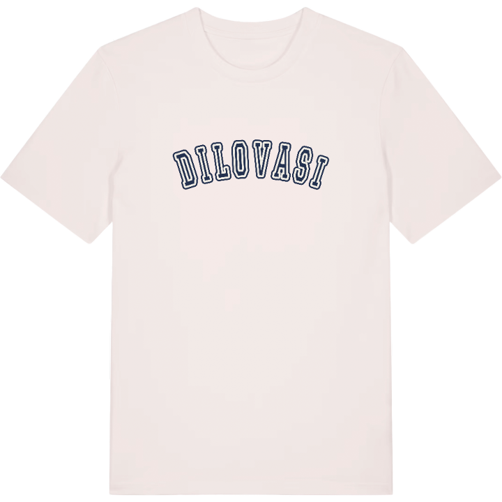 Dilovası college t-shirt – t-shirt från PinShirt