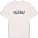 Falkenå college t-shirt
