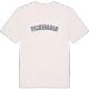 Felmersham college t-shirt