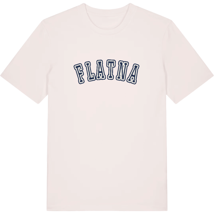 Flatna college t-shirt – t-shirt från PinShirt