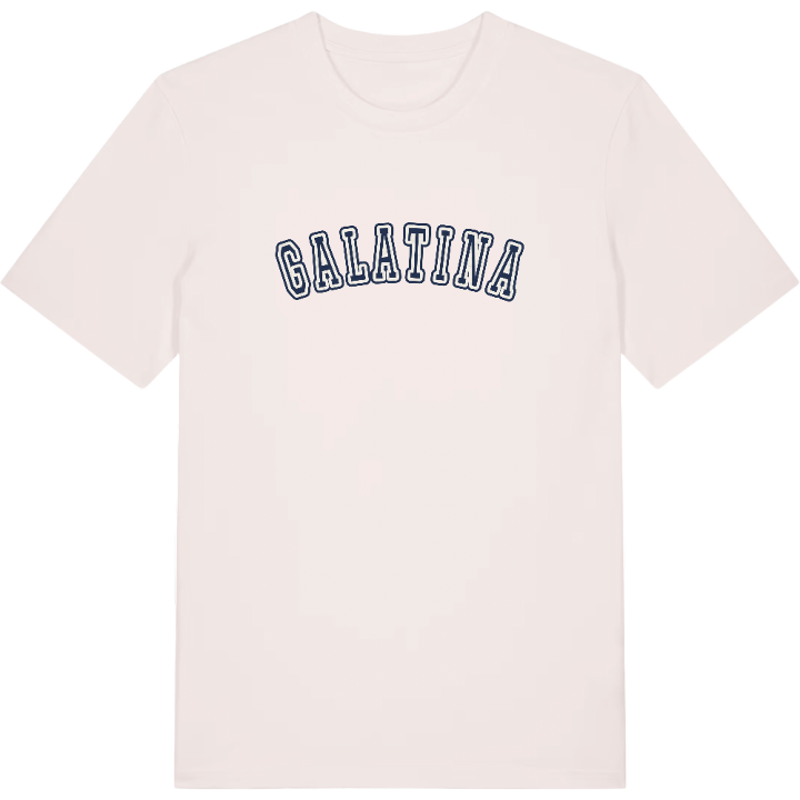 Galatina college t-shirt – t-shirt från PinShirt