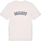 Galliate college t-shirt