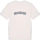 Gölsgården college t-shirt