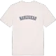 Haglyckan college t-shirt