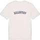 Hallestorp college t-shirt