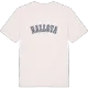 Hallsta college t-shirt