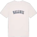 Hallwil college t-shirt
