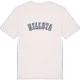 Hillsta college t-shirt