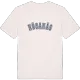 Höganäs college t-shirt