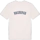 Holmerud college t-shirt