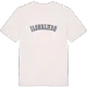 Ilsholmen college t-shirt