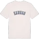 Kaunas college t-shirt