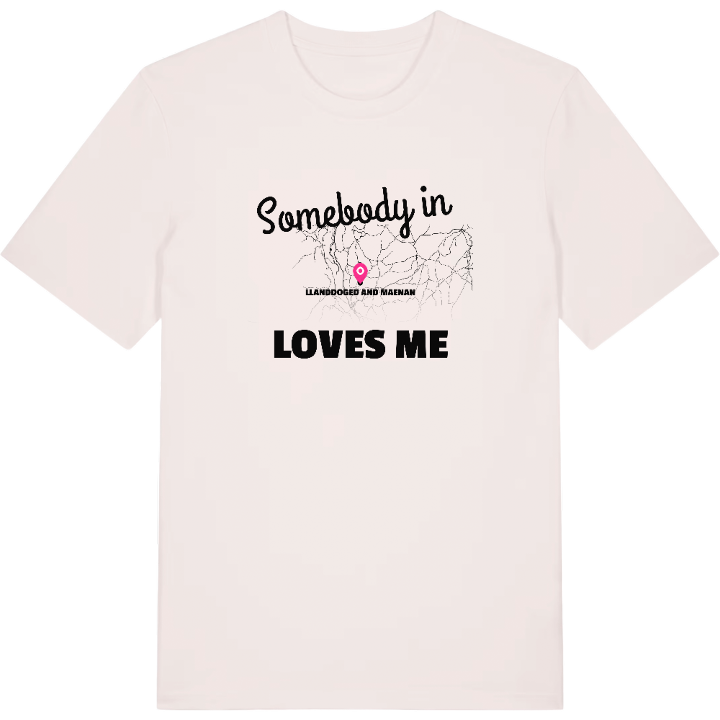 Någon i Llanddoged and Maenan älskar mig t-shirt – t-shirt från PinShirt