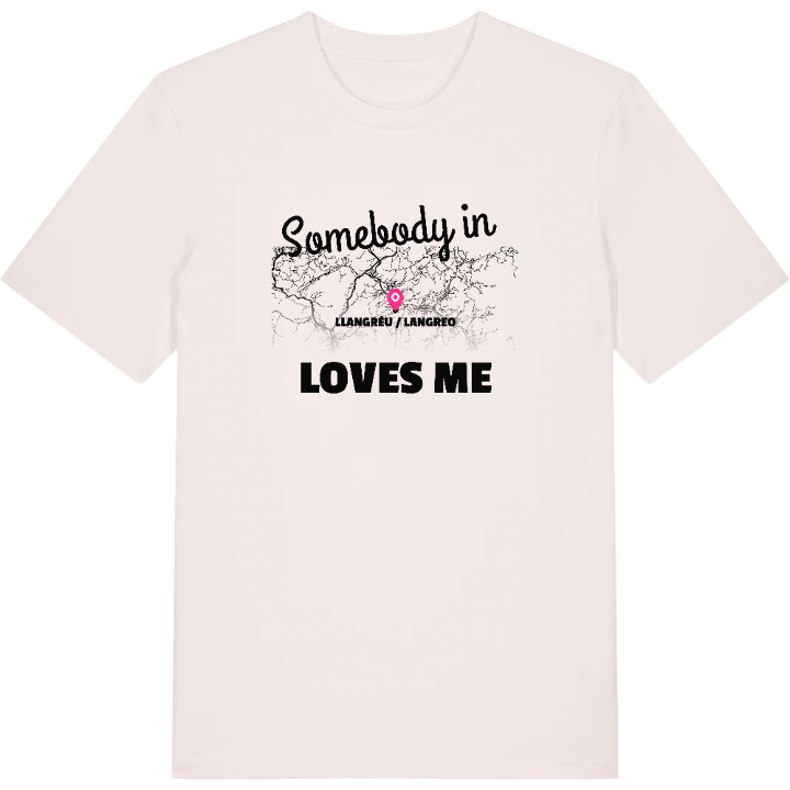 Någon i Llangréu / Langreo älskar mig t-shirt – t-shirt från PinShirt