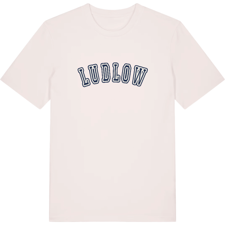 Ludlow college t-shirt – t-shirt från PinShirt