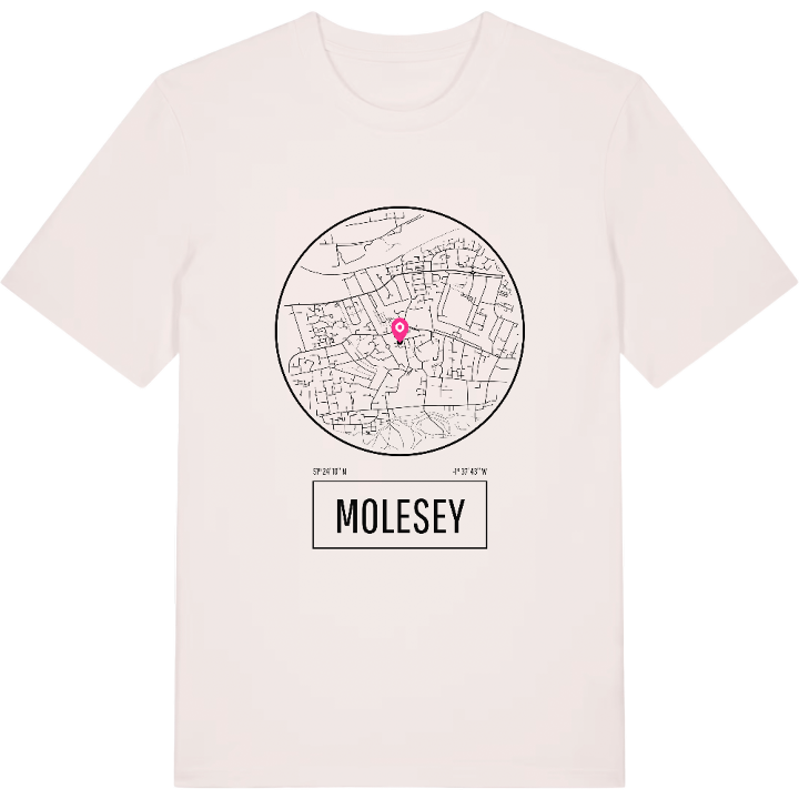 Molesey t-shirt – t-shirt från PinShirt