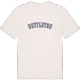 Nettleton college t-shirt