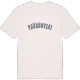 Pašešupiai college t-shirt