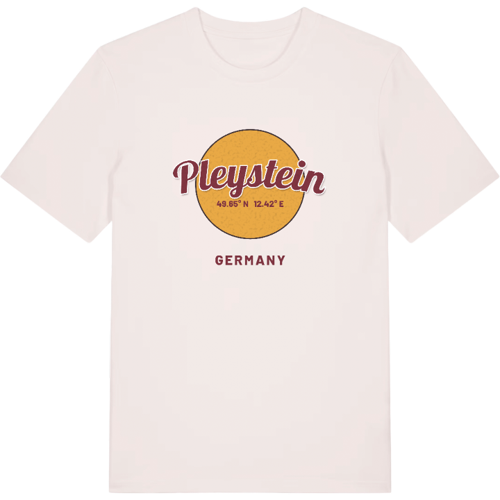 Pleystein cirkel t-shirt – t-shirt från PinShirt
