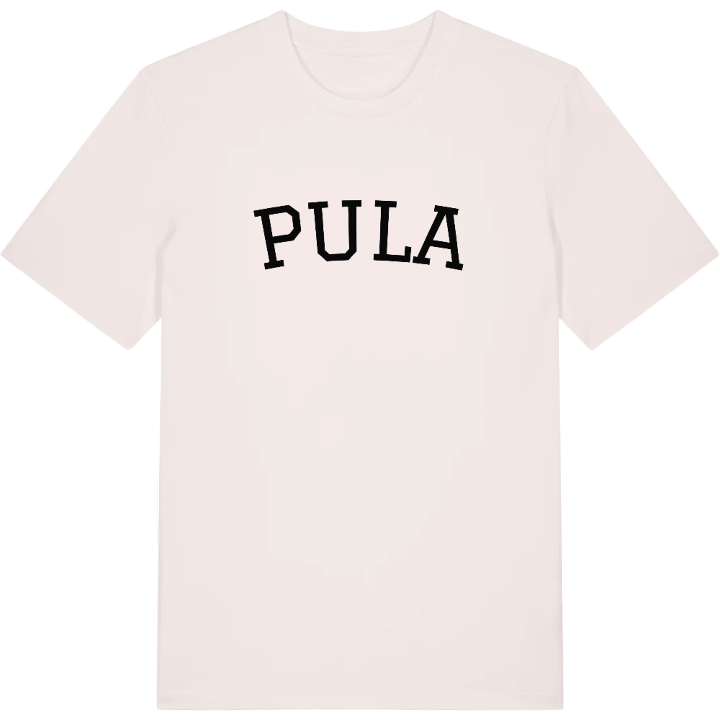 Pula böjd t-shirt – t-shirt från PinShirt