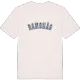 Ramsnäs college t-shirt