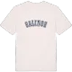 Salinge college t-shirt