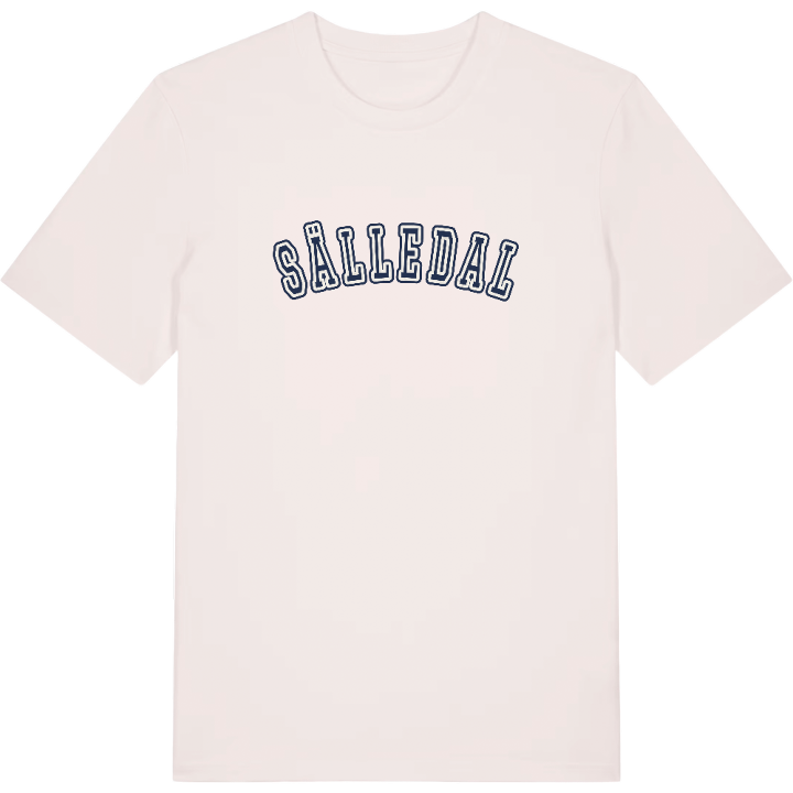 Sälledal college t-shirt – t-shirt från PinShirt
