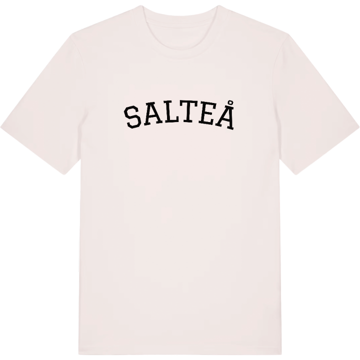 Salteå böjd t-shirt – t-shirt från PinShirt