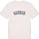 Sanden college t-shirt