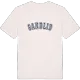 Sandlid college t-shirt