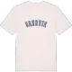 Sandvik college t-shirt