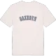 Saxebyn college t-shirt