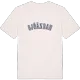 Sjöändan college t-shirt