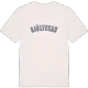 Sjölyckan college t-shirt
