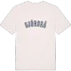 Sjörgrå college t-shirt
