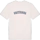 Snatteboda college t-shirt