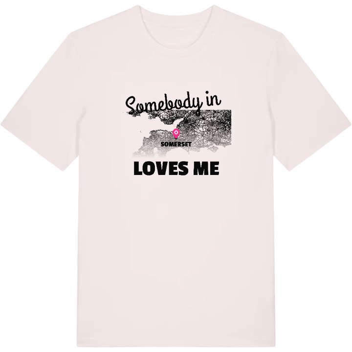 Någon i Somerset älskar mig t-shirt – t-shirt från PinShirt