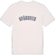 Spåneryd college t-shirt