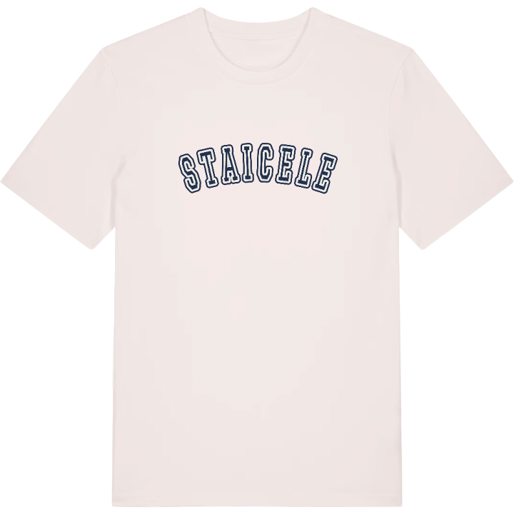 Staicele college t-shirt – t-shirt från PinShirt